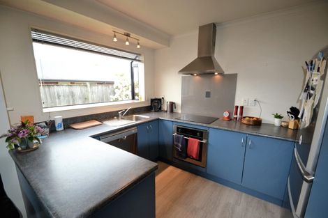 Photo of property in 15 Appaloosa Avenue, Richmond, 7020