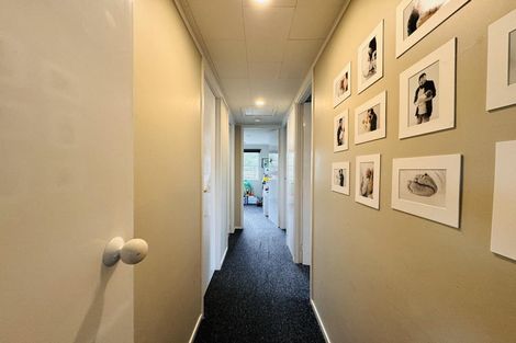 Photo of property in 325 Cambridge Avenue, Ashhurst, 4810