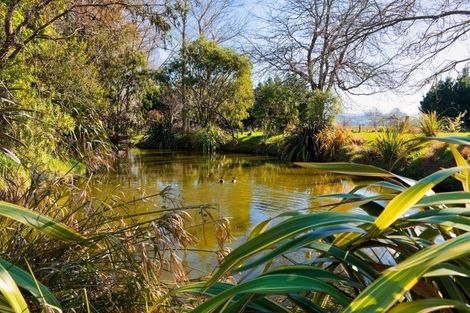 Photo of property in 22 Reeves Street, Cheviot, 7310