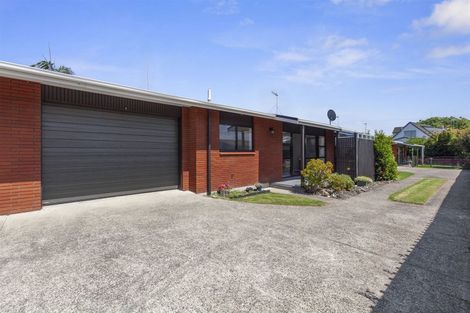 Photo of property in 113b Grace Road, Tauranga South, Tauranga, 3112