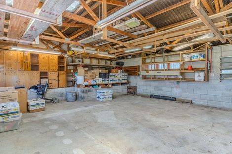 Photo of property in 133 Tahuna Road, Andersons Bay, Dunedin, 9013