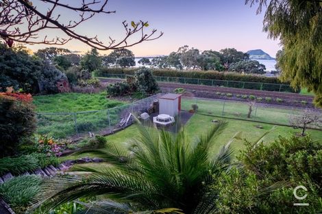 Photo of property in 151 Ngatai Road, Otumoetai, Tauranga, 3110