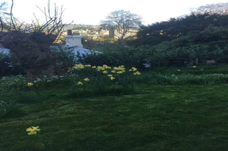 Photo of property in 92 Queen Street, North Dunedin, Dunedin, 9016