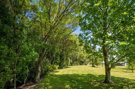 Photo of property in 43 Holdaway Street, Riversdale, Blenheim, 7201