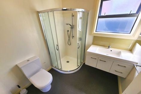 Photo of property in 86 Mein Street, Newtown, Wellington, 6021