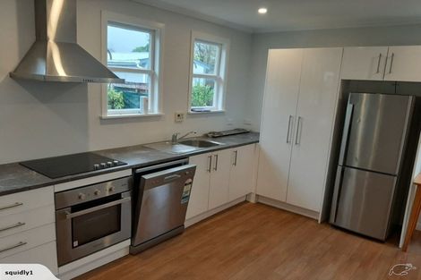 Photo of property in 20 Grierson Street, Naenae, Lower Hutt, 5011