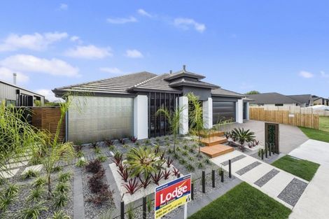 Photo of property in 56 Helen June Avenue, Flagstaff, Hamilton, 3210