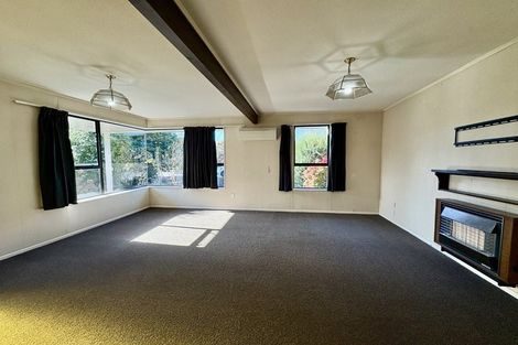 Photo of property in 12 Birch Street, Hutt Central, Lower Hutt, 5010