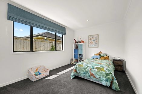 Photo of property in 20 Whakapono Avenue, Baverstock, Hamilton, 3200