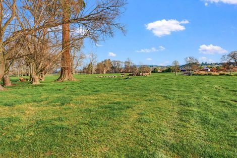 Photo of property in 584a Orari Station Road, Geraldine, 7992