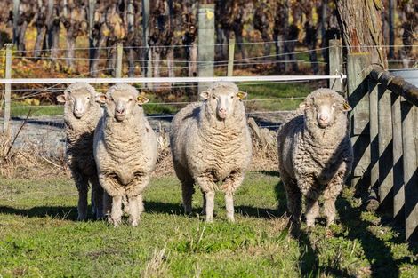 Photo of property in 2d Ferry Road, Spring Creek, 7202