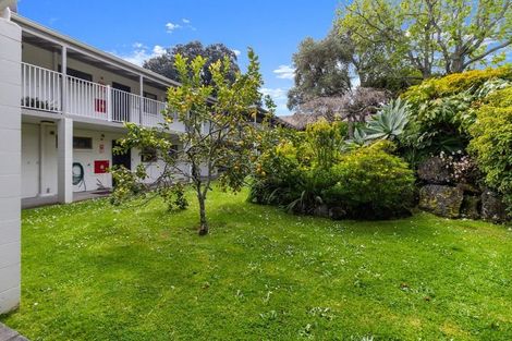 Photo of property in 34 Esplanade Road, Tahawai, Katikati, 3170