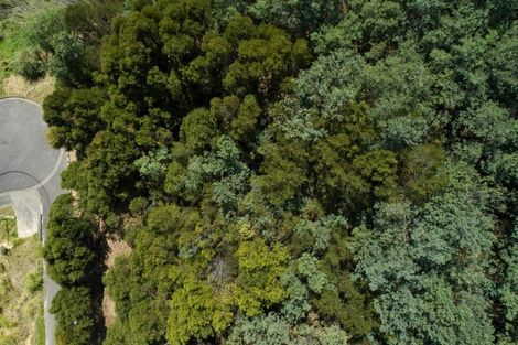 Photo of property in 16 Kakapo Rise, Picton, 7220