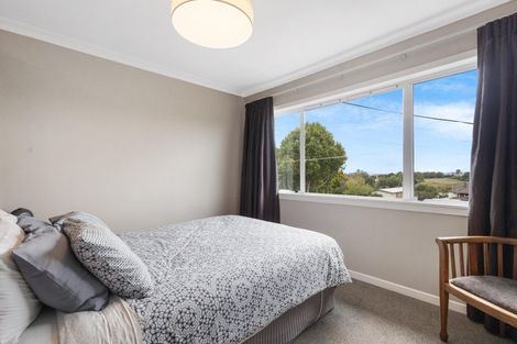 Photo of property in 14 Terrace Street, Putaruru, 3411