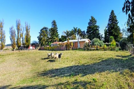 Photo of property in 555 Main North Road, Bay View, Napier, 4104
