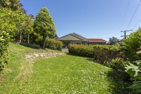 Photo of property in 3 Everton Road, Andersons Bay, Dunedin, 9013