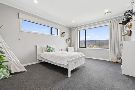 Photo of property in 149 Waller Road, Puni, Pukekohe, 2678