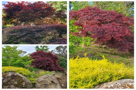 Photo of property in 128e Mauku Road, Patumahoe, Pukekohe, 2678