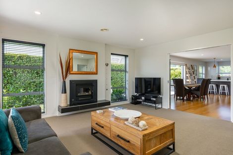 Photo of property in 206 Taylor Pass Road, Witherlea, Blenheim, 7201