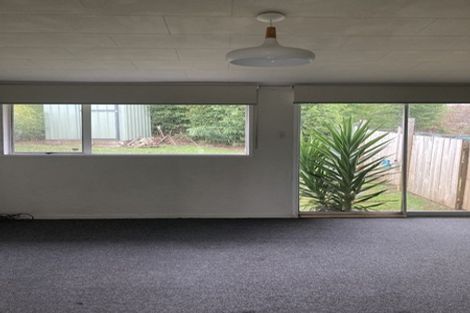 Photo of property in 214 Panama Road, Mount Wellington, Auckland, 1062