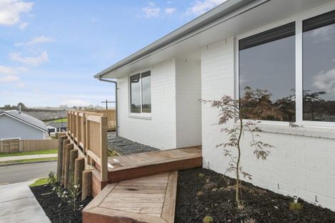 Photo of property in 50 Pinkerton Place, Ohauiti, Tauranga, 3112