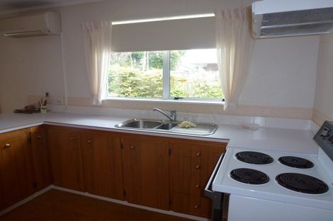 Photo of property in 46b Church Street, Awapuni, Palmerston North, 4412