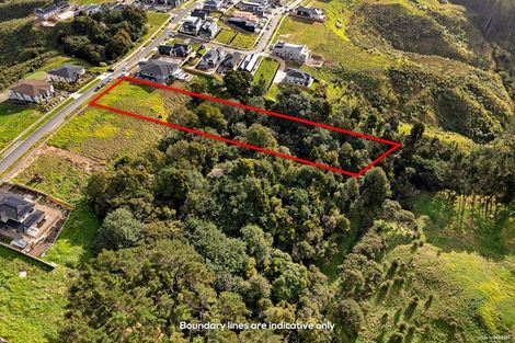 Photo of property in 25 Michael Bosher Way, Flat Bush, Auckland, 2019