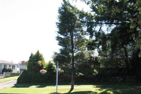 Photo of property in 124 Balmoral Drive, Tokoroa, 3420