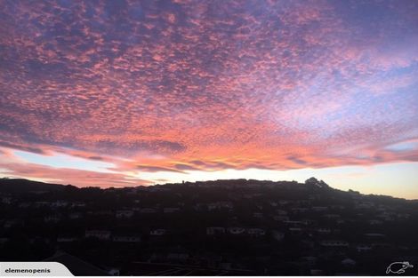 Photo of property in 43 Turville Crescent, Newlands, Wellington, 6037