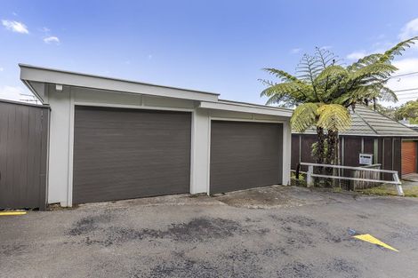 Photo of property in 17 Fortunatus Street, Brooklyn, Wellington, 6021