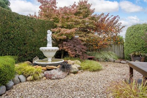 Photo of property in 7 Tahawai Crescent, Matamata, 3400