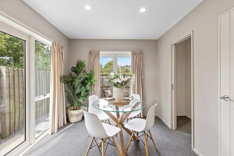 Photo of property in 45 Walton Street, Sydenham, Christchurch, 8023