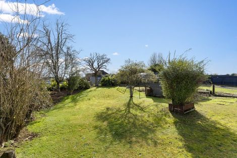Photo of property in 38 Marchant Street, Putaruru, 3411