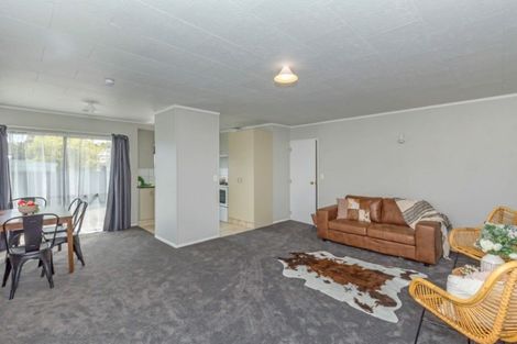 Photo of property in 96a Mako Mako Road, Levin, 5510