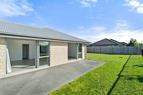 Photo of property in 31 Chert Street, Rolleston, 7614