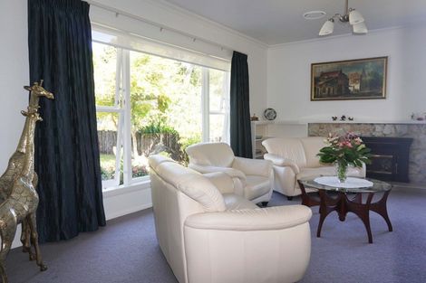Photo of property in 24 Avenue North Road, Levin, 5510
