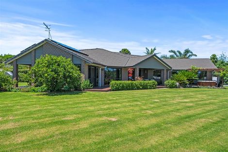 Photo of property in 656a One Tree Point Road, Ruakaka, Whangarei, 0171