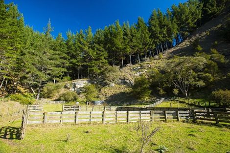 Photo of property in 1247 Wharekopae Road, Ngatapa, Gisborne, 4072