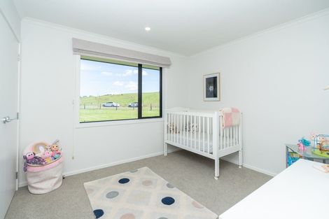 Photo of property in 133 Robson Road, Ngahinapouri, Hamilton, 3290