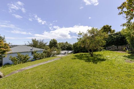 Photo of property in 281 Tukapa Street, Hurdon, New Plymouth, 4310