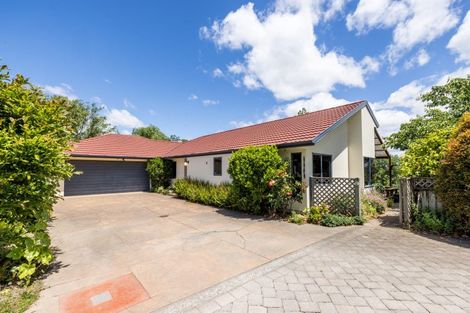 Photo of property in 141c Napier Road, Havelock North, 4130