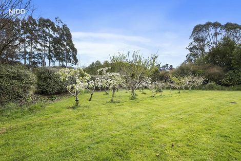 Photo of property in 36 Harvey Street, Waitati, 9085