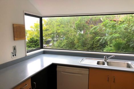 Photo of property in 36 Hunter Street, Hamilton Lake, Hamilton, 3204