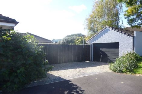 Photo of property in 38 Graham Street, Hamilton East, Hamilton, 3216