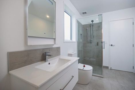 Photo of property in 45a Wainui Avenue, Point Chevalier, Auckland, 1022