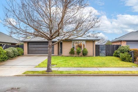 Photo of property in 9 Puaka Street, Pegasus, 7612