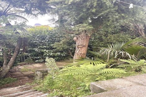 Photo of property in 313 Adelaide Road, Newtown, Wellington, 6021