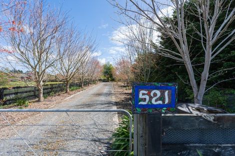 Photo of property in 521 Hickford Road, Foxton, 4891