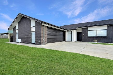 Photo of property in 79 Hinemoa Street, Levin, 5510