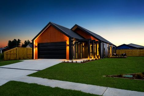 Photo of property in 12 Campbell Place, Marton, 4710